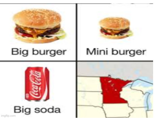 you'd get it if your from MN | image tagged in fun | made w/ Imgflip meme maker