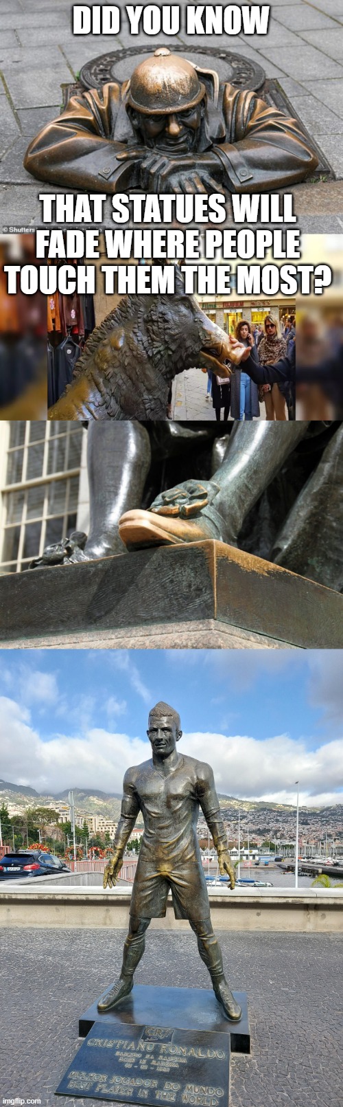 DID YOU KNOW; THAT STATUES WILL FADE WHERE PEOPLE TOUCH THEM THE MOST? | image tagged in statue | made w/ Imgflip meme maker