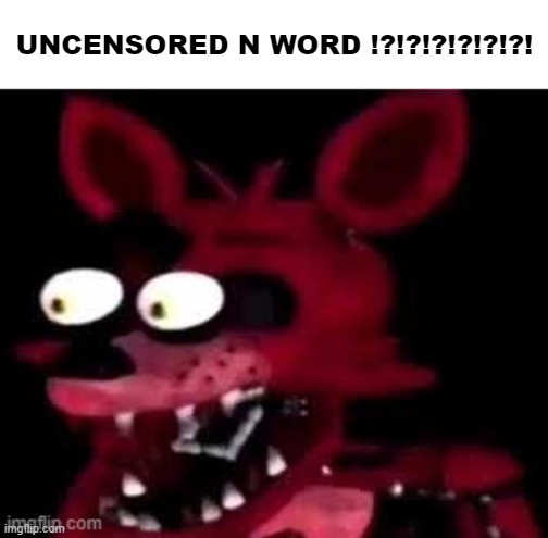 Foxy being surprised asf | UNCENSORED N WORD !?!?!?!?!?!?! | image tagged in foxy being surprised asf | made w/ Imgflip meme maker
