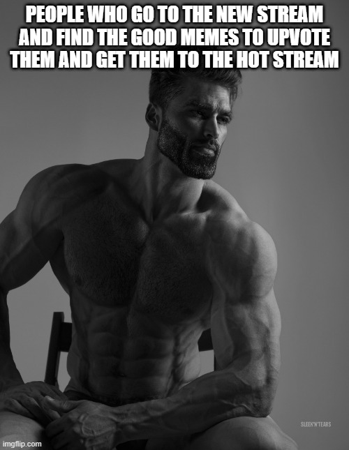 Giga Chad | PEOPLE WHO GO TO THE NEW STREAM AND FIND THE GOOD MEMES TO UPVOTE THEM AND GET THEM TO THE HOT STREAM | image tagged in giga chad | made w/ Imgflip meme maker
