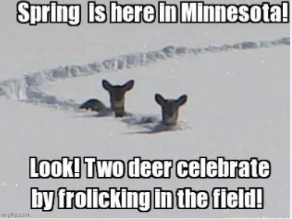Every Spring in MN be like.................. | image tagged in funny | made w/ Imgflip meme maker