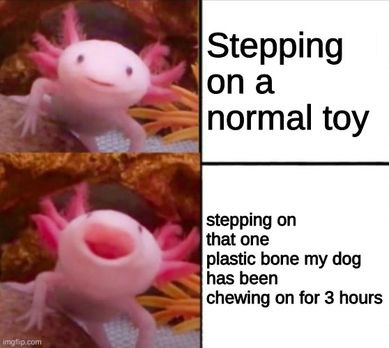 it hurts realy bad | Stepping on a normal toy; stepping on that one plastic bone my dog has been chewing on for 3 hours | image tagged in axolotl drake | made w/ Imgflip meme maker