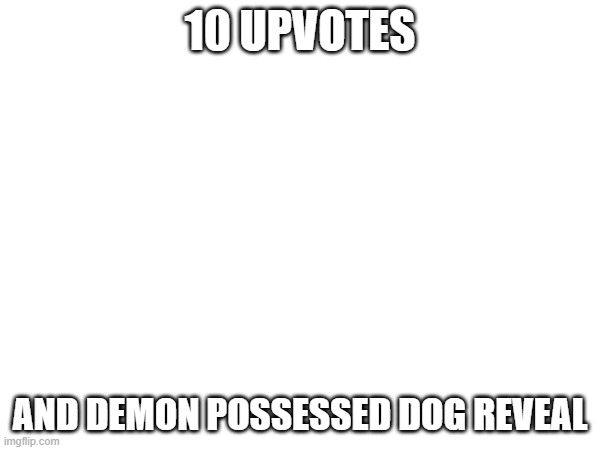 warning: demon | 10 UPVOTES; AND DEMON POSSESSED DOG REVEAL | image tagged in e | made w/ Imgflip meme maker