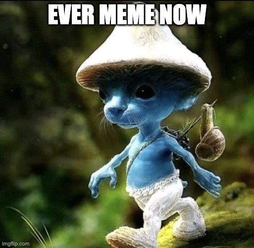 smurf cat | EVER MEME NOW | image tagged in blue smurf cat | made w/ Imgflip meme maker