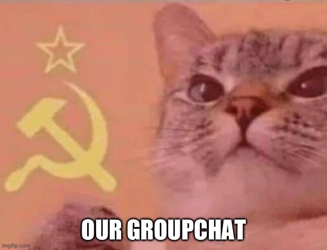 Communist cat | OUR GROUPCHAT | image tagged in communist cat | made w/ Imgflip meme maker