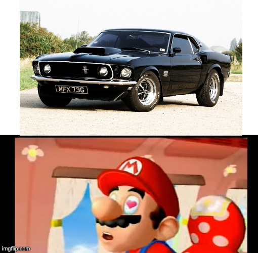 If inly i had enough money for one | image tagged in mario love who,ford mustang | made w/ Imgflip meme maker