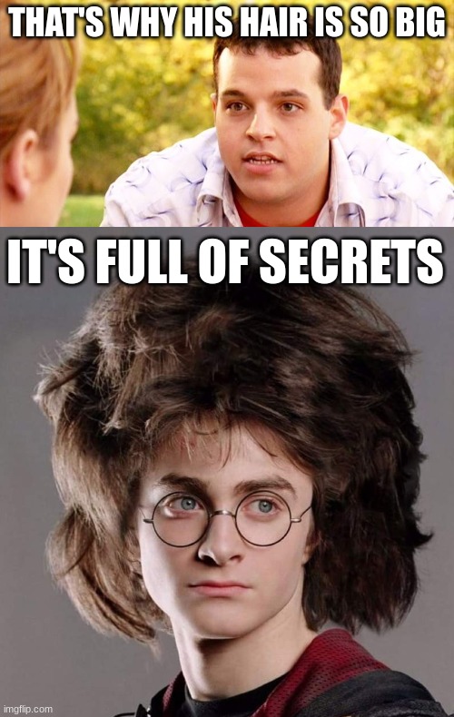 harry potter and mean girls | THAT'S WHY HIS HAIR IS SO BIG; IT'S FULL OF SECRETS | image tagged in funny | made w/ Imgflip meme maker