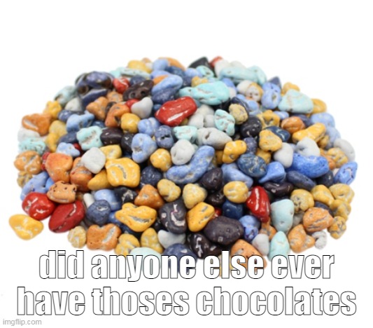 did anyone else ever have thoses chocolates | made w/ Imgflip meme maker