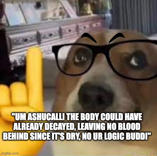 nerd dog | "UM ASHUCALLI THE BODY COULD HAVE ALREADY DECAYED, LEAVING NO BLOOD BEHIND SINCE IT'S DRY, NO UR LOGIC BUDDI" | image tagged in nerd dog | made w/ Imgflip meme maker