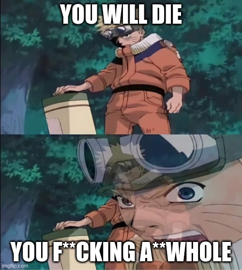 Te mato naruto | YOU WILL DIE; YOU F**CKING A**WHOLE | image tagged in te mato naruto | made w/ Imgflip meme maker
