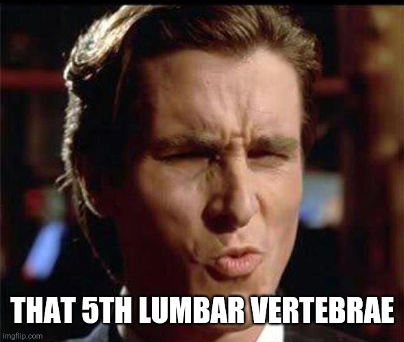 Christian Bale Ooh | THAT 5TH LUMBAR VERTEBRAE | image tagged in christian bale ooh | made w/ Imgflip meme maker