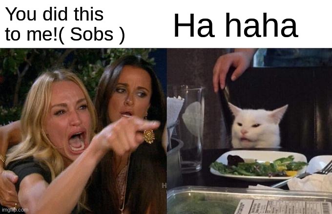 Woman Yelling At Cat | You did this to me!( Sobs ); Ha haha | image tagged in memes,woman yelling at cat | made w/ Imgflip meme maker