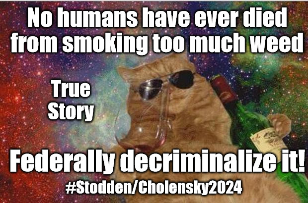 Cats n wine | No humans have ever died from smoking too much weed; True Story; Federally decriminalize it! #Stodden/Cholensky2024 | image tagged in cats n wine,spusa,socialist party usa,william stodden,legalize weed,weed | made w/ Imgflip meme maker