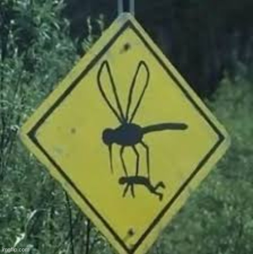 Mosquitos are Already Scary Enough | image tagged in cursed,cursed image,fun | made w/ Imgflip meme maker