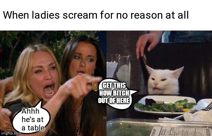 Don't y'all hated when girls scream for no reason? | When ladies scream for no reason at all; GET THIS HOW BITCH OUT OF HERE; Ahhh he's at a table | image tagged in memes,woman yelling at cat,girls scream for no reason,for no reason,over nothing | made w/ Imgflip meme maker