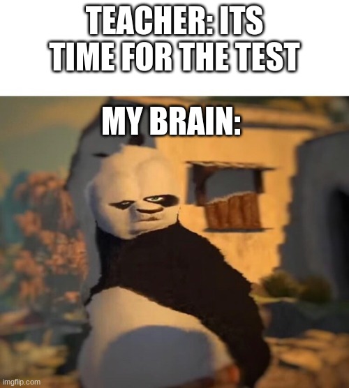 Heres a school meme | TEACHER: ITS TIME FOR THE TEST; MY BRAIN: | image tagged in drunk kung fu panda,school | made w/ Imgflip meme maker