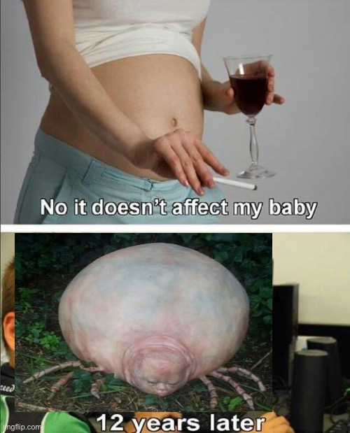 My baby! Isn’t he beautiful | image tagged in no it doesn't affect my baby,baby,spider,big,spiders,babys | made w/ Imgflip meme maker