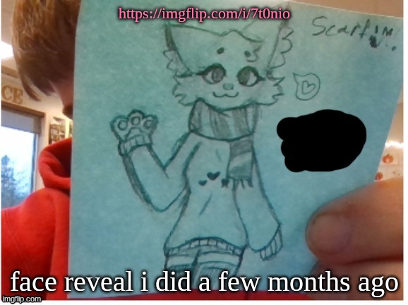 https://imgflip.com/i/7t0nio; face reveal i did a few months ago | made w/ Imgflip meme maker