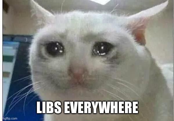 crying cat | LIBS EVERYWHERE | image tagged in crying cat | made w/ Imgflip meme maker
