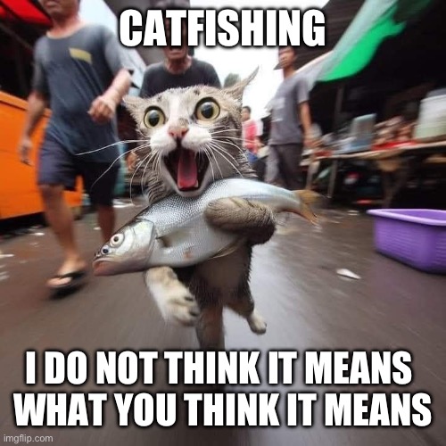 Catfishing | CATFISHING; I DO NOT THINK IT MEANS 
WHAT YOU THINK IT MEANS | image tagged in runaway cat with fish,princess bride,ai cat | made w/ Imgflip meme maker