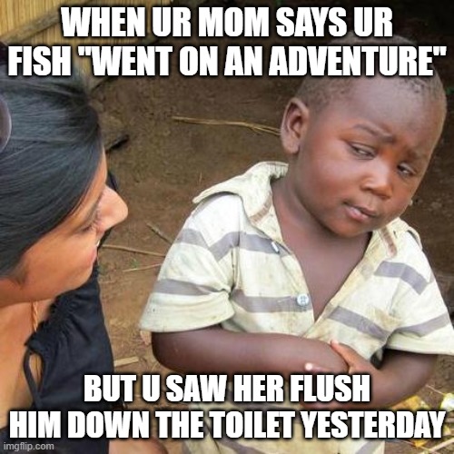 Third World Skeptical Kid Meme | WHEN UR MOM SAYS UR FISH "WENT ON AN ADVENTURE"; BUT U SAW HER FLUSH HIM DOWN THE TOILET YESTERDAY | image tagged in memes,third world skeptical kid | made w/ Imgflip meme maker