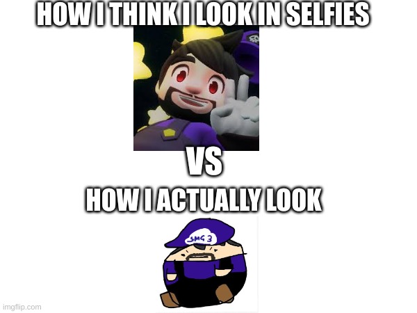 We all can relate | HOW I THINK I LOOK IN SELFIES; VS; HOW I ACTUALLY LOOK | image tagged in smg3,smg4,memes,relatable,idfk | made w/ Imgflip meme maker