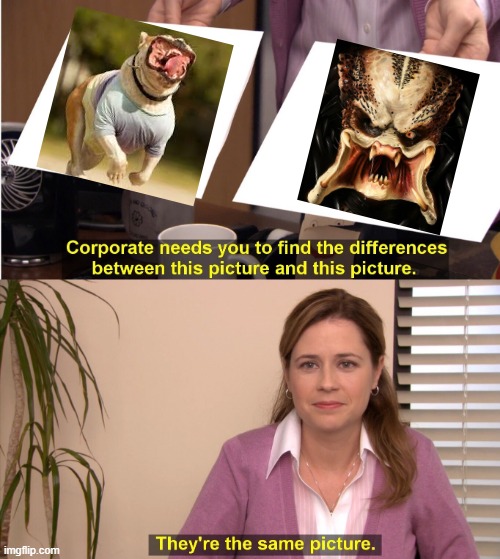 Predator | image tagged in memes,they're the same picture | made w/ Imgflip meme maker