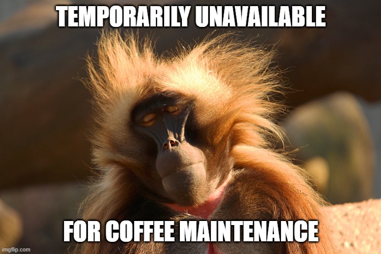 crazy hair monkey | TEMPORARILY UNAVAILABLE; FOR COFFEE MAINTENANCE | image tagged in crazy hair monkey | made w/ Imgflip meme maker
