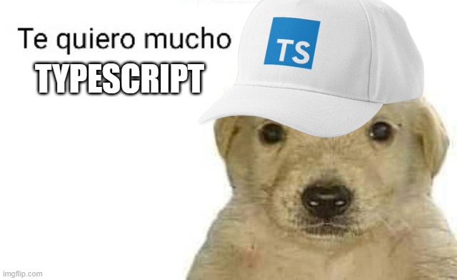 te quiero mucho typescript | TYPESCRIPT | image tagged in te quiero mucho | made w/ Imgflip meme maker