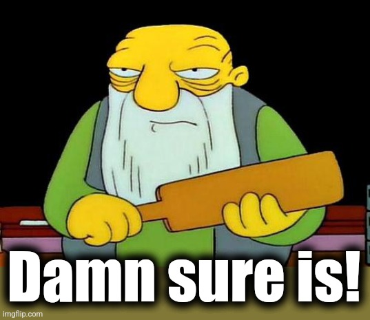 That's a paddlin' Meme | Damn sure is! | image tagged in memes,that's a paddlin' | made w/ Imgflip meme maker