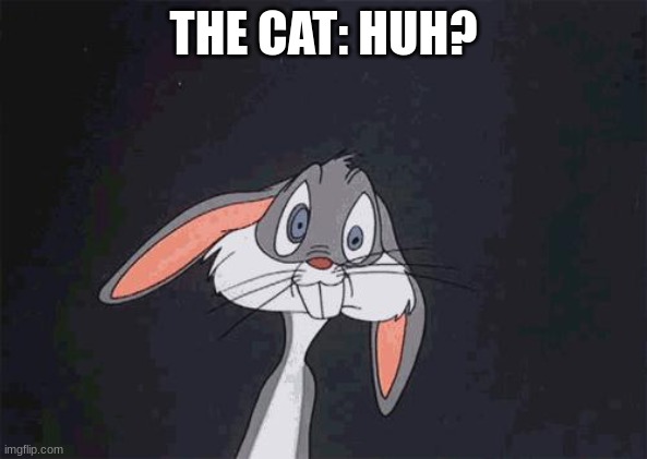 bugs bunny crazy face | THE CAT: HUH? | image tagged in bugs bunny crazy face | made w/ Imgflip meme maker