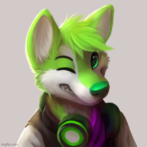 i made a template hope you like it | image tagged in furry version of lady winking | made w/ Imgflip meme maker
