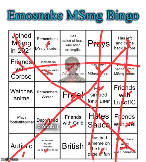 Emosnake MSmg Bingo | probably | image tagged in emosnake msmg bingo | made w/ Imgflip meme maker