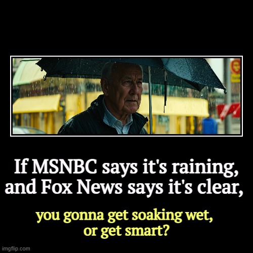 If MSNBC says it's raining, and Fox News says it's clear, | you gonna get soaking wet, 
or get smart? | image tagged in funny,demotivationals,fox news,wrong,msnbc,right | made w/ Imgflip demotivational maker