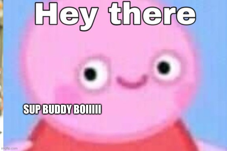 Da ohio peppa pig | SUP BUDDY BOIIIII | image tagged in funny memes | made w/ Imgflip meme maker