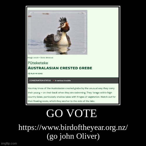 GO VOTE | https://www.birdoftheyear.org.nz/ (go john Oliver) | image tagged in funny,demotivationals | made w/ Imgflip demotivational maker