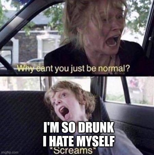 drunk people be like | I'M SO DRUNK
I HATE MYSELF | image tagged in why can't you just be normal | made w/ Imgflip meme maker
