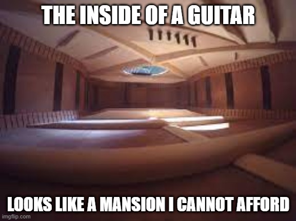 Guitar Hero | THE INSIDE OF A GUITAR; LOOKS LIKE A MANSION I CANNOT AFFORD | image tagged in guitar | made w/ Imgflip meme maker