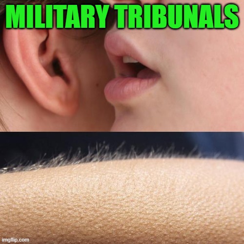 Whisper and Goosebumps | MILITARY TRIBUNALS | image tagged in whisper and goosebumps | made w/ Imgflip meme maker