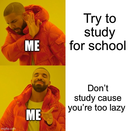 Currently all of us | Try to study for school; ME; Don’t study cause you’re too lazy; ME | image tagged in memes,drake hotline bling | made w/ Imgflip meme maker