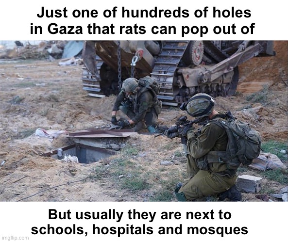 Rat hole | Just one of hundreds of holes in Gaza that rats can pop out of; But usually they are next to 
schools, hospitals and mosques | image tagged in rat hole | made w/ Imgflip meme maker