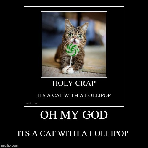 image 2 out of 9 | image tagged in cats | made w/ Imgflip meme maker