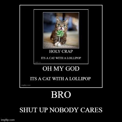 image 3 out of 9 | image tagged in cats | made w/ Imgflip meme maker