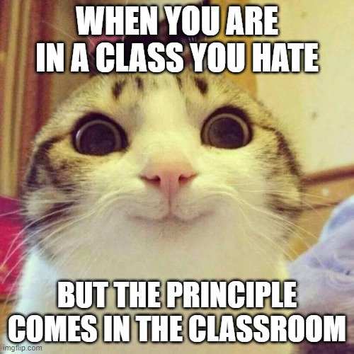 WILD MEME FOUND!!! | WHEN YOU ARE IN A CLASS YOU HATE; BUT THE PRINCIPLE COMES IN THE CLASSROOM | image tagged in memes,smiling cat | made w/ Imgflip meme maker