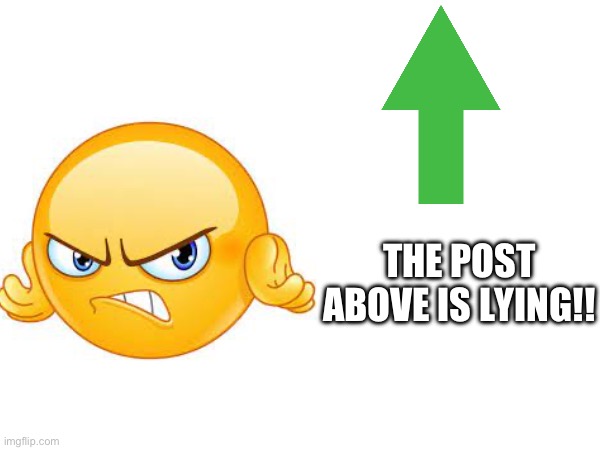 THE POST ABOVE IS LYING!! | made w/ Imgflip meme maker