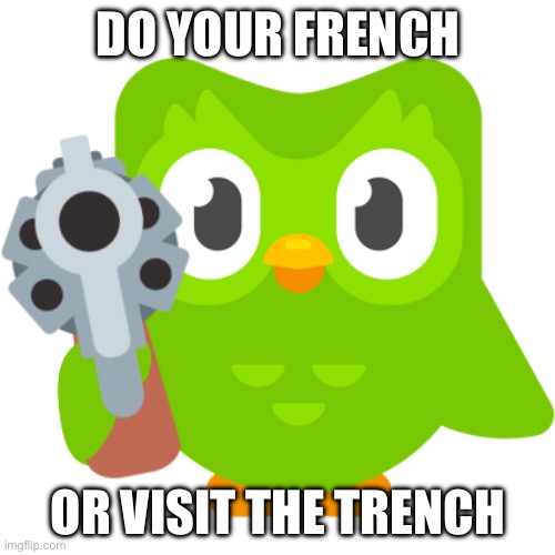 Spanish or Vanish | DO YOUR FRENCH OR VISIT THE TRENCH | image tagged in spanish or vanish | made w/ Imgflip meme maker