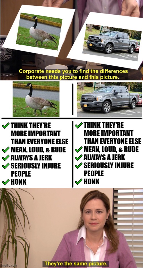✔️THINK THEY'RE 
        MORE IMPORTANT
        THAN EVERYONE ELSE
✔️MEAN, LOUD, & RUDE
✔️ALWAYS A JERK
✔️SERIOUSLY INJURE
        PEOPLE
✔️HONK; ✔️THINK THEY'RE
        MORE IMPORTANT
        THAN EVERYONE ELSE
✔️MEAN, LOUD, & RUDE
✔️ALWAYS A JERK
✔️SERIOUSLY INJURE
        PEOPLE
✔️HONK | image tagged in memes,they're the same picture | made w/ Imgflip meme maker