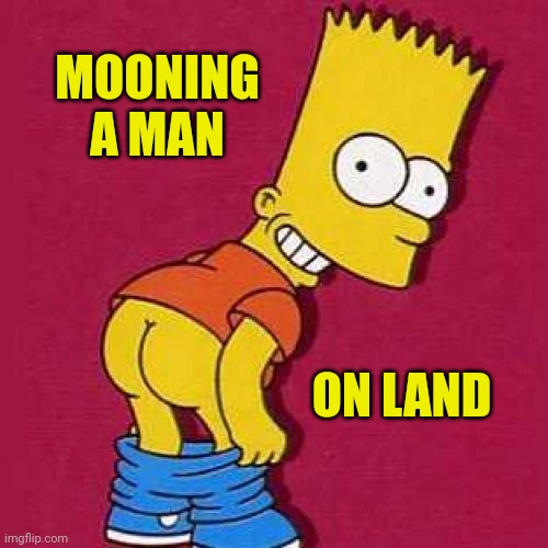 Bart Simpson Mooning | MOONING A MAN ON LAND | image tagged in bart simpson mooning | made w/ Imgflip meme maker