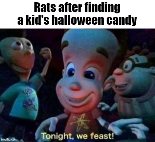 *Rat noises* | Rats after finding a kid's halloween candy | image tagged in tonight we feast,halloween | made w/ Imgflip meme maker