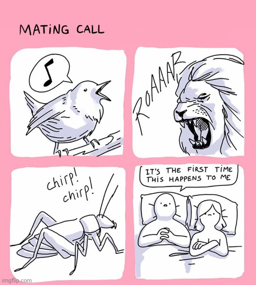 Mating call | image tagged in mate,mating,call,animals,comics,comics/cartoons | made w/ Imgflip meme maker
